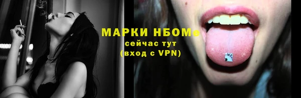 стаф Абаза