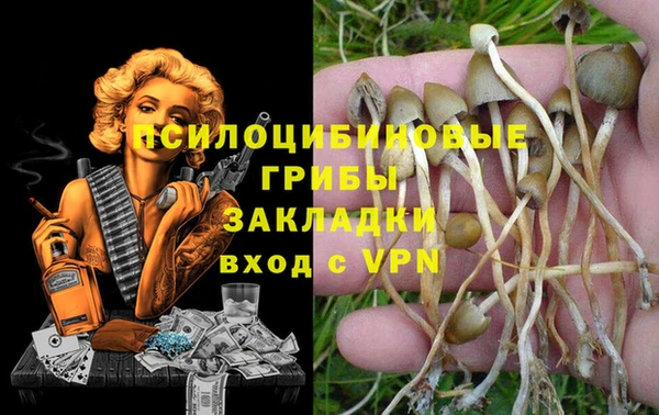 стаф Абаза