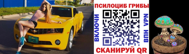 цена   Ковдор  Галлюциногенные грибы прущие грибы 
